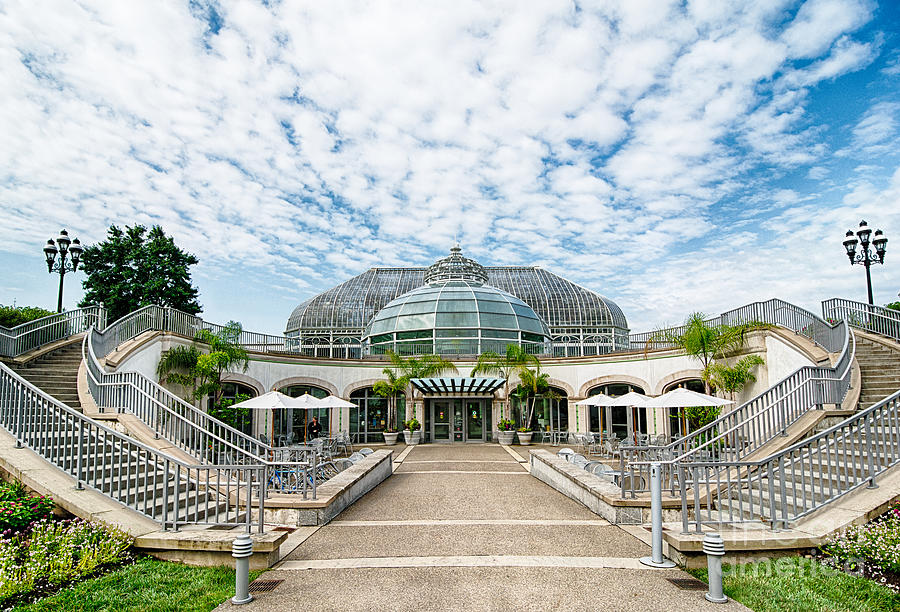 Phipps Conservatory Pittsburgh Pennsylvania #2 Photograph by Amy Cicconi