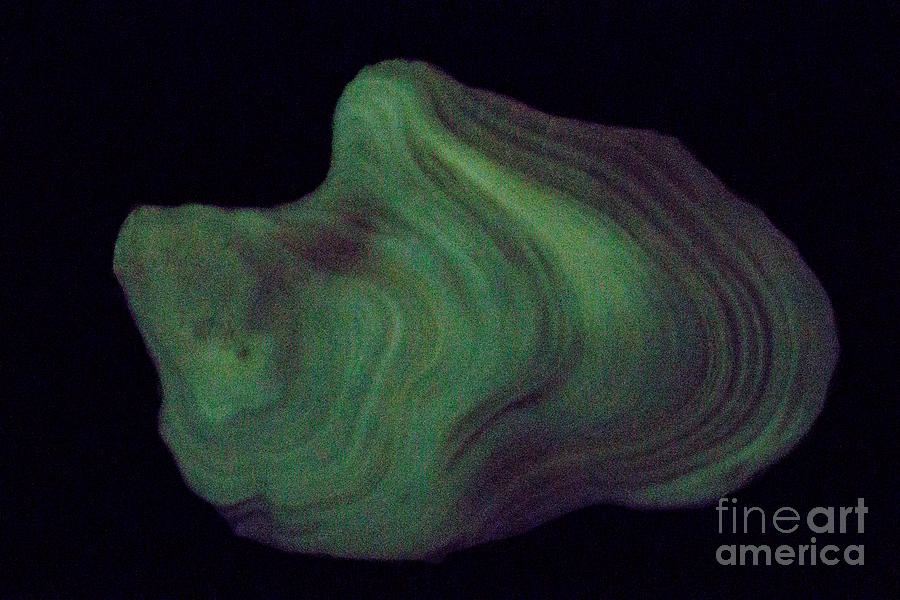 Phosphorescent Stalagmite Section #4 Photograph by Ted Kinsman