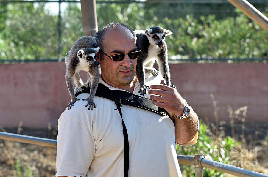 Photographer with lemurs on him #2 Photograph by George Atsametakis