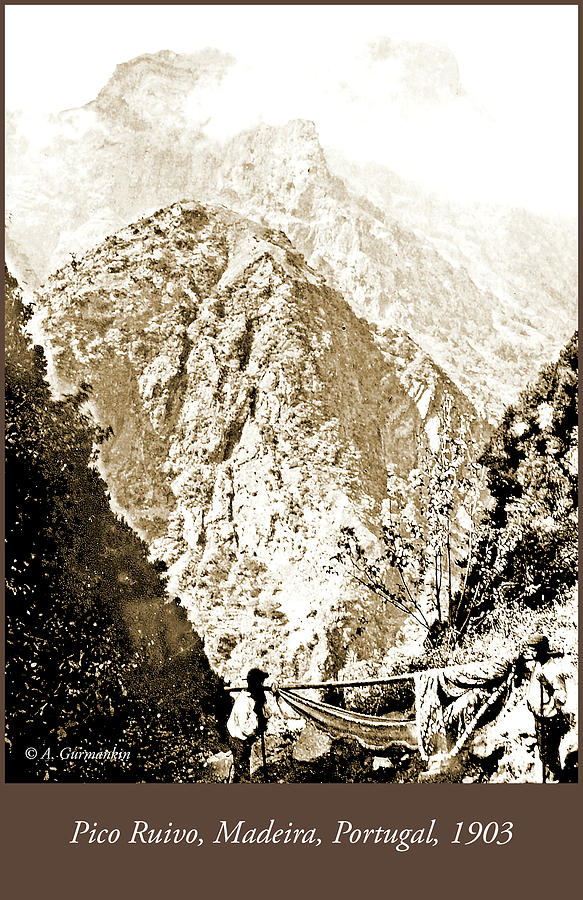 Pico Ruivo Mountain, Madeira, Portugal, c.1900 #2 Photograph by A Macarthur Gurmankin