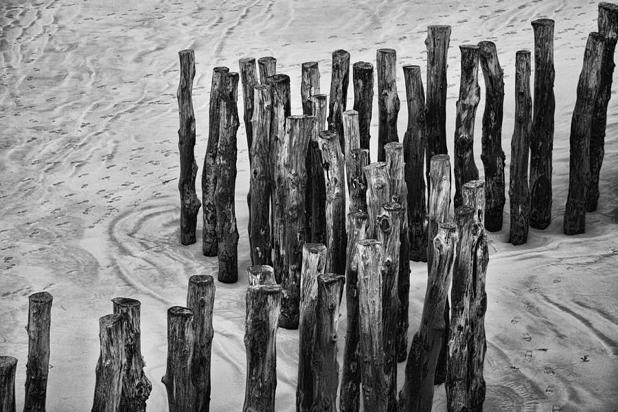 Pilings #2 Photograph by Hugh Smith