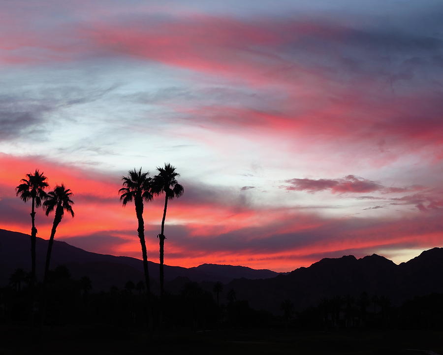 Pink Sky Sunset From A Desert Trip Photograph by Desiderata Gallery ...