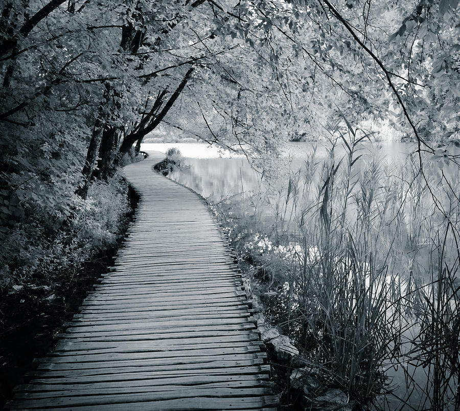 Plitvice Lakes National Park #9 Photograph by Alexey Stiop