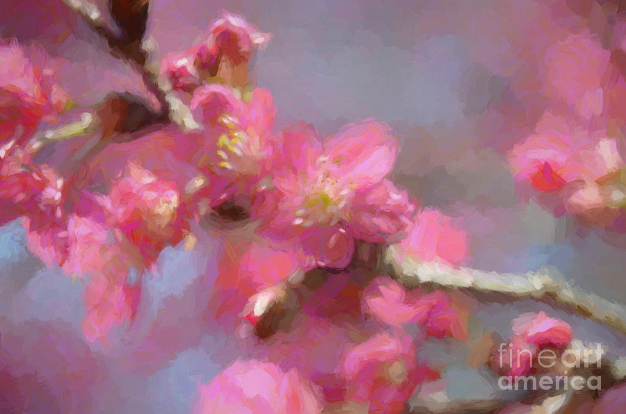 Plum Blossom - Bring on Spring Series Mixed Media by Andrea Anderegg