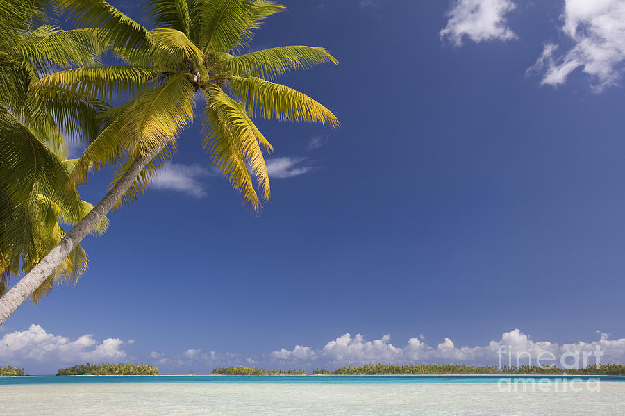 Polynesian Beach With Palms #2 Photograph by Jean-Louis Klein & Marie-Luce Hubert