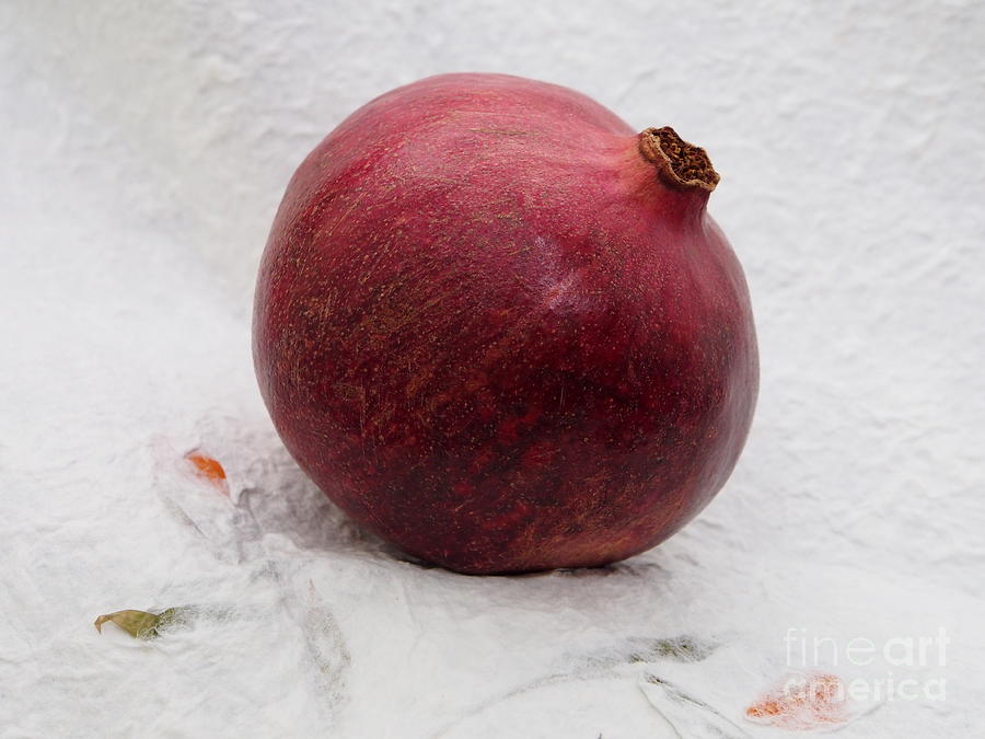 Pomegranate  #4 Photograph by Jacklyn Duryea Fraizer