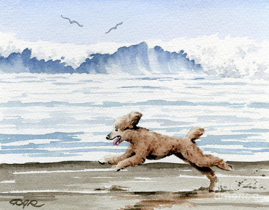 Poodle Painting - Poodle at the Beach  #1 by David Rogers