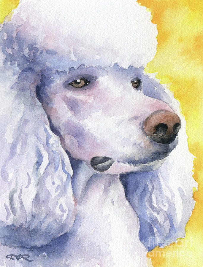 Poodle Painting - Poodle  #1 by David Rogers