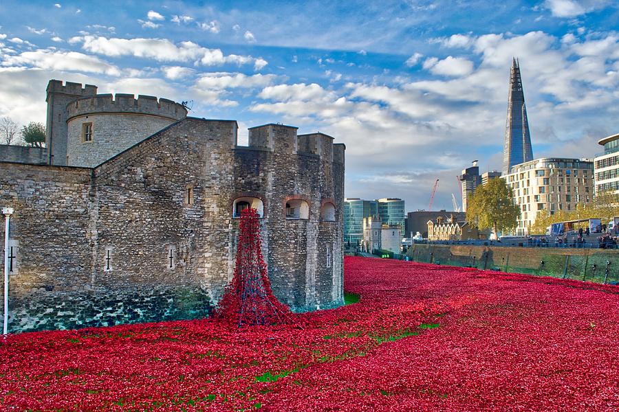 Poppies at the Tower of London #2 Photograph by Chris Day