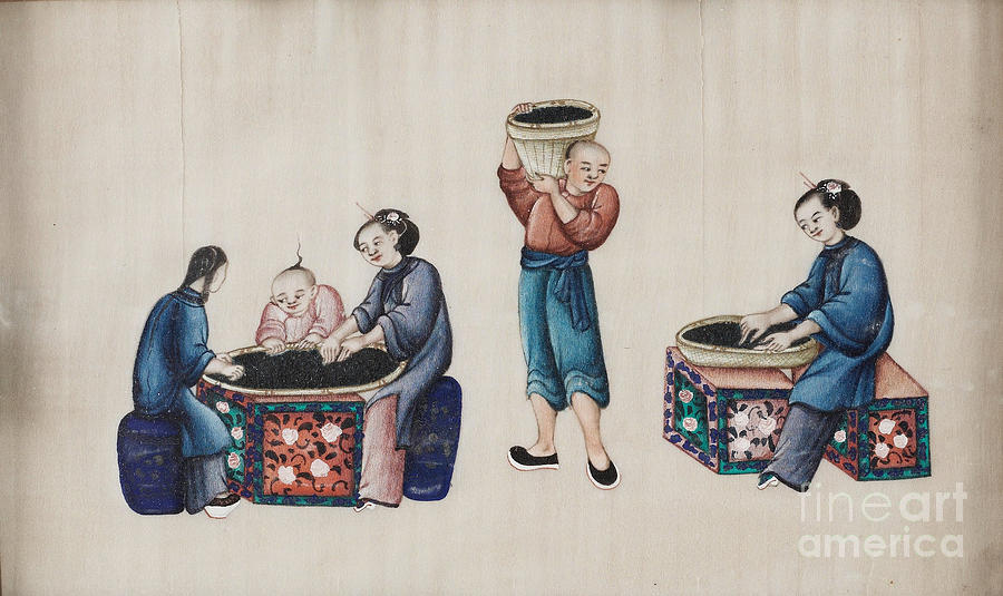 Portraying The Chinese Tea Industry #2 Painting by Celestial Images