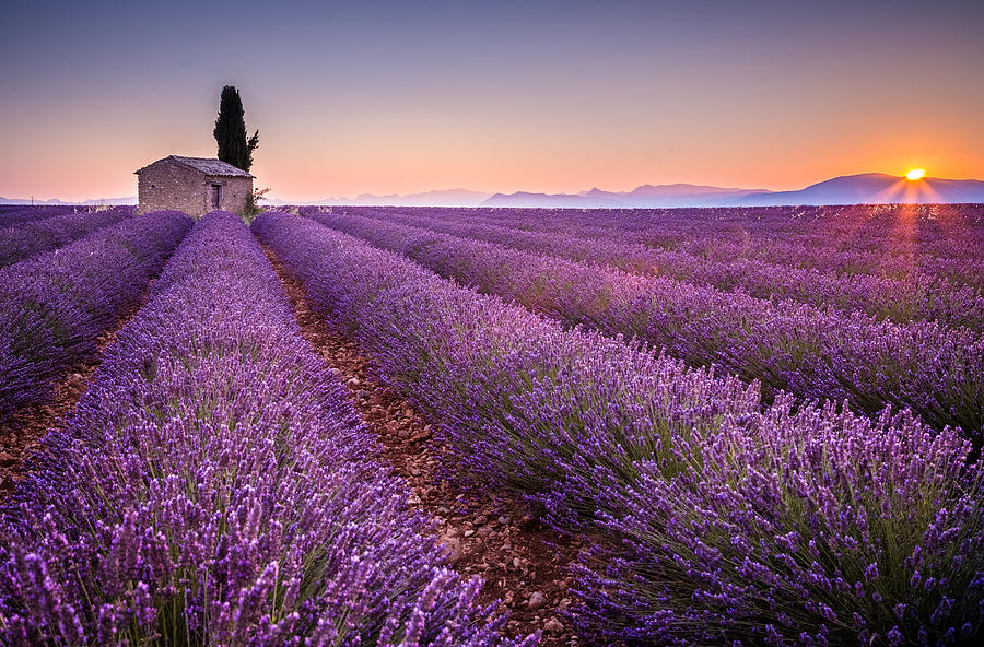 Provence #2 Photograph by Stefano Termanini