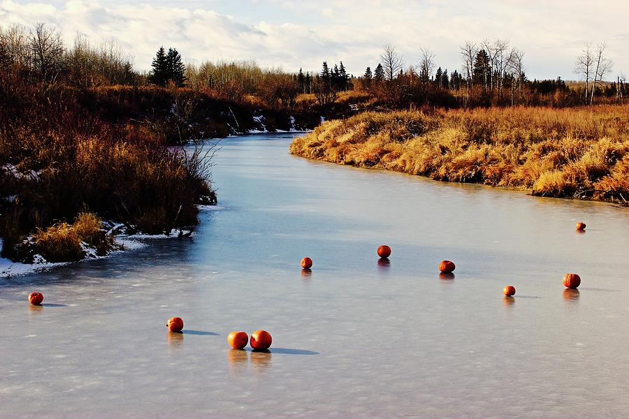 Pumpkins on Ice  #2 Photograph by Brian Sereda