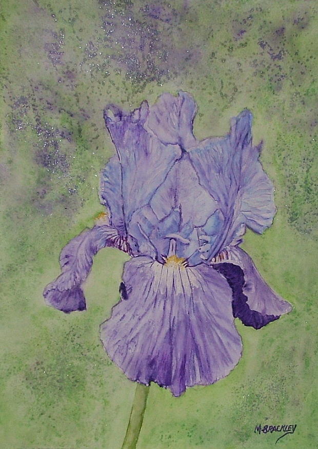 Purple Iris Painting by Margaret Brackley - Pixels