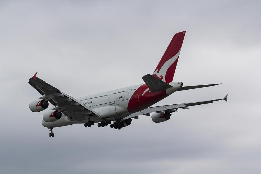 Qantas Photograph - Qantas Airbus A380 #1 by David Pyatt