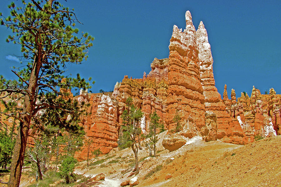 Queens Garden Trail in Bryce National Park, Utah  #2 Photograph by Ruth Hager