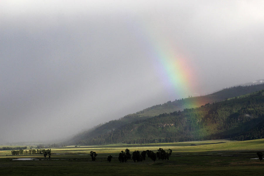 Rainbow Hayden Valley Yellowstone USA #2 Photograph by Bob Savage