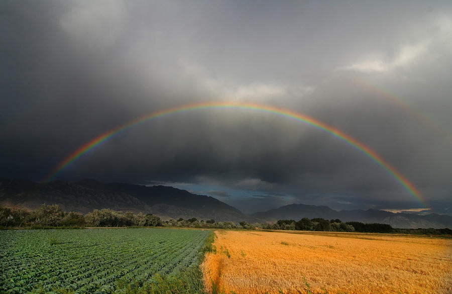 Rainbow #2 Photograph by Mark Smith