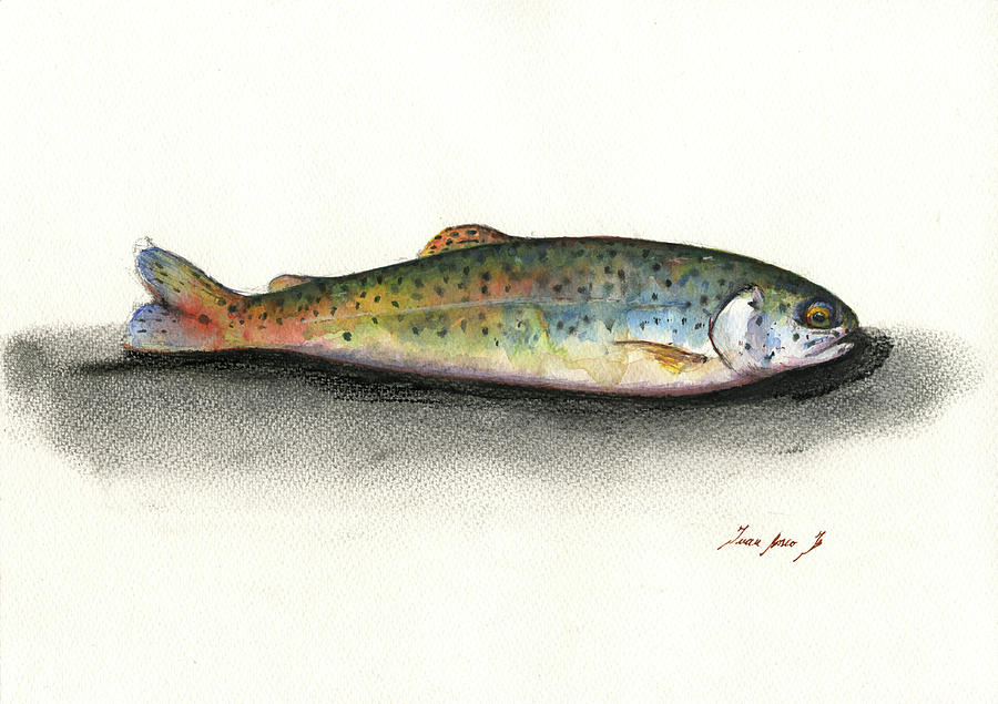 Rainbow Trout Painting - Rainbow trout #2 by Juan Bosco