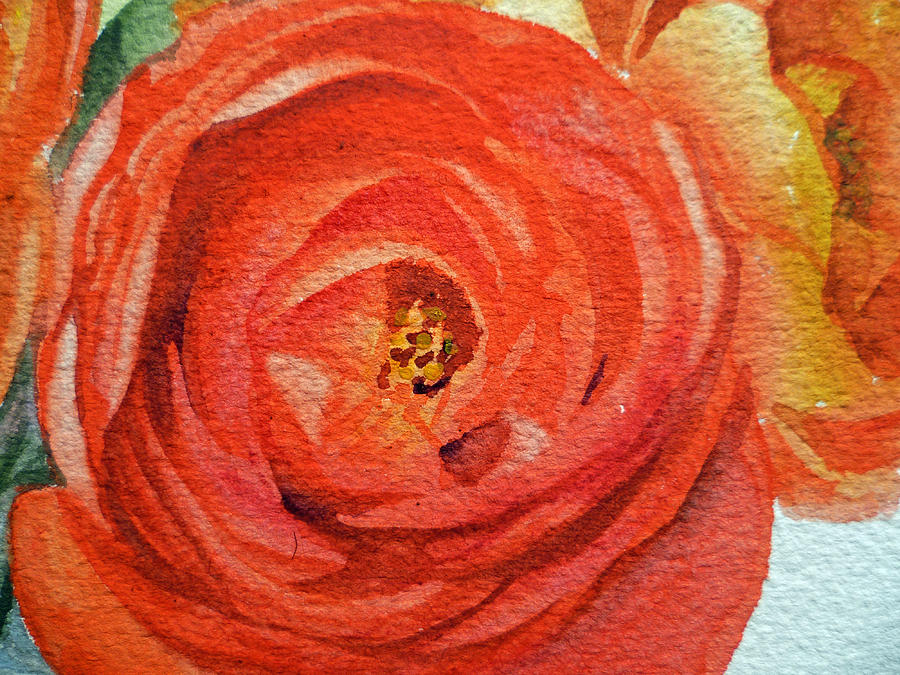 Ranunculus Close Up Painting by Irina Sztukowski