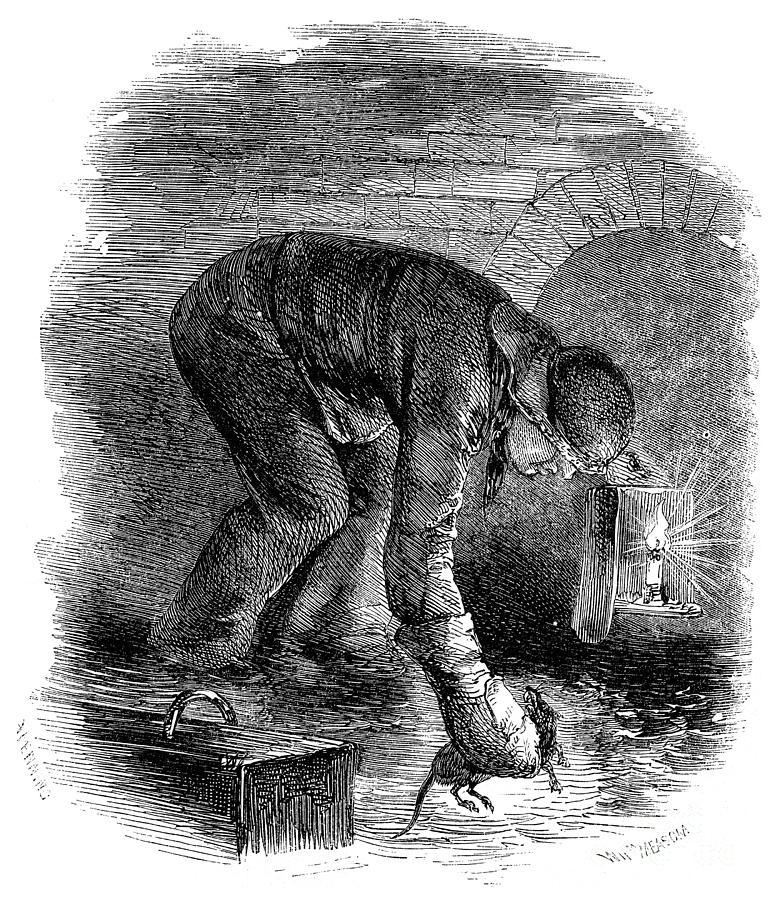 London Rat Catcher, 1890 Painting by Granger - Fine Art America