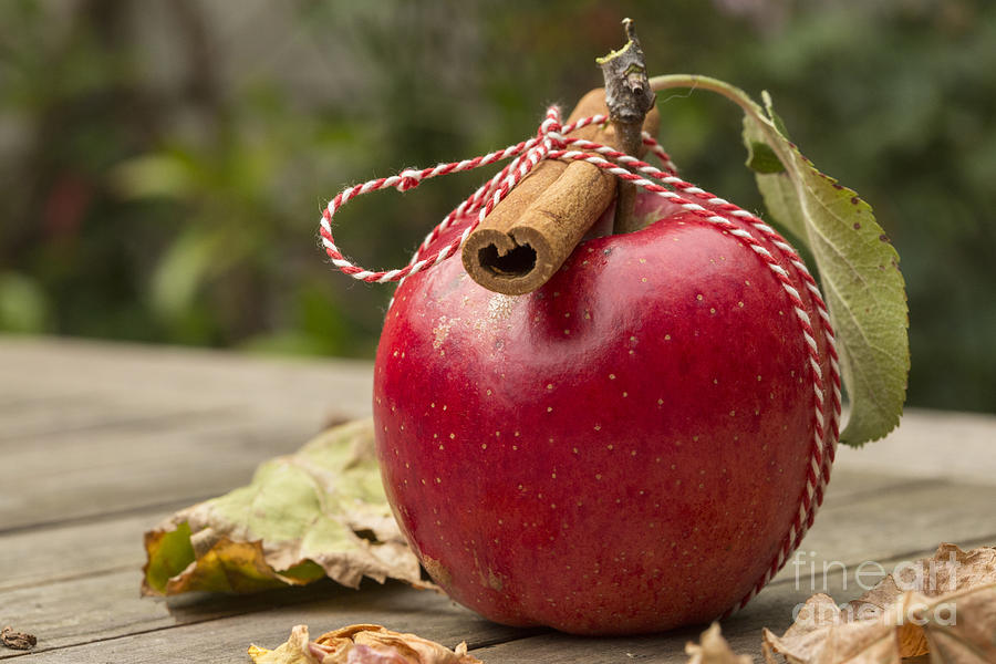 Red apple with cinnamon Photograph by Patricia Hofmeester
