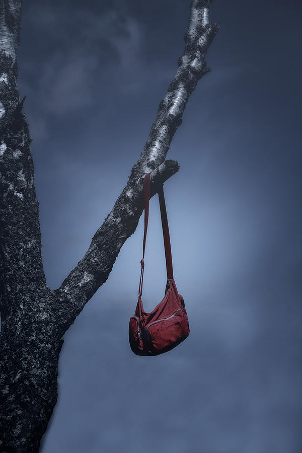 Tree Photograph - Red Bag #2 by Joana Kruse