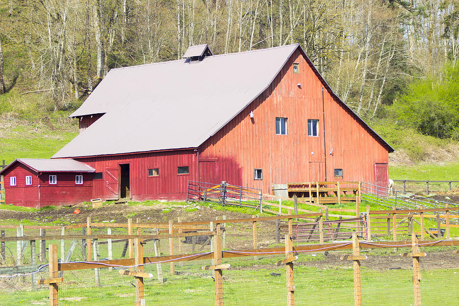 Red Barn Enumclaw Washington  Photograph by Cathy Anderson