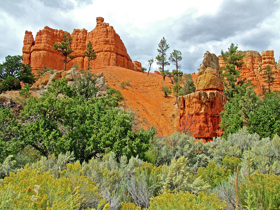 Red Canyon in Dixie National Forest, Utah #1 Photograph by Ruth Hager