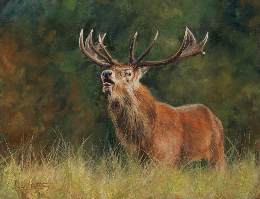 Deer Painting - Red Deer Stag #2 by David Stribbling