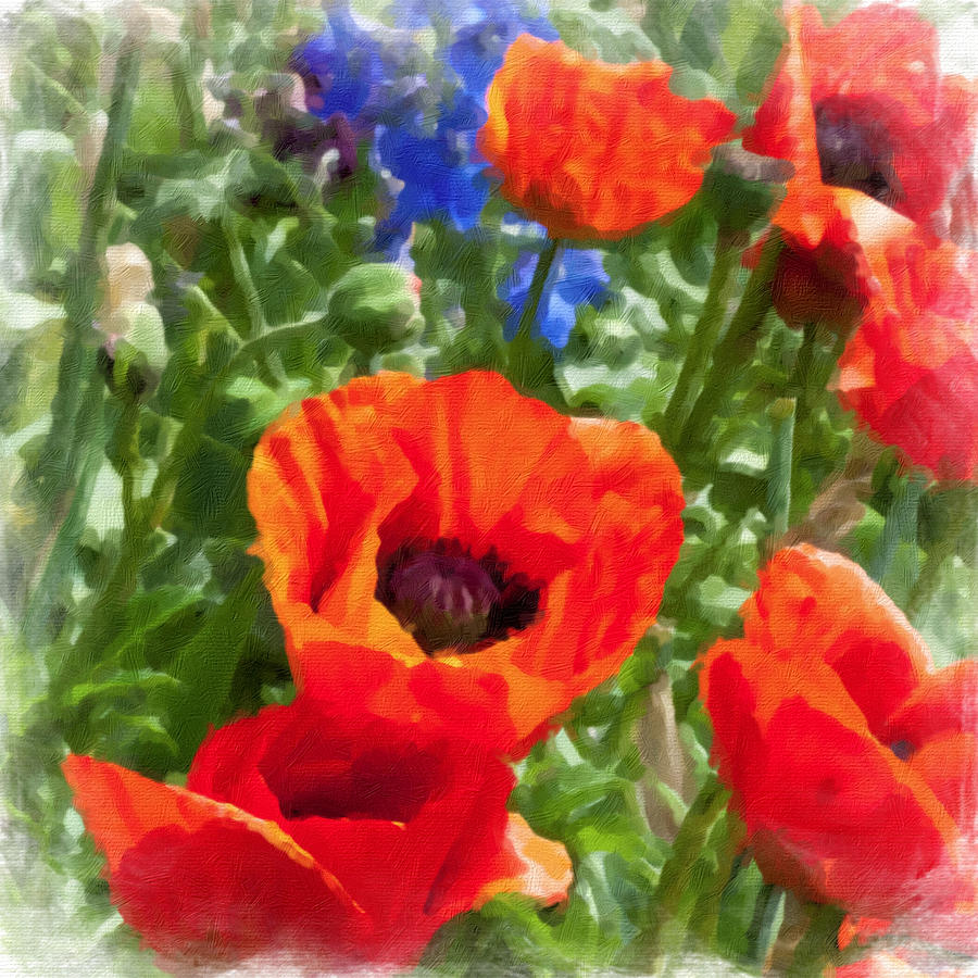 Red Poppies #2 Painting by Bonnie Bruno