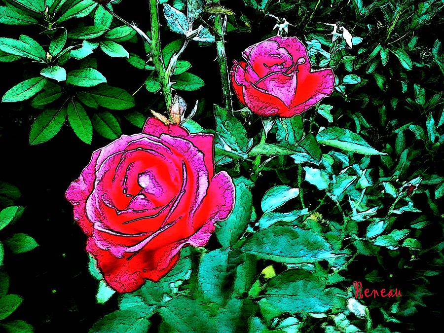 2 Red Roses Photograph by A L Sadie Reneau