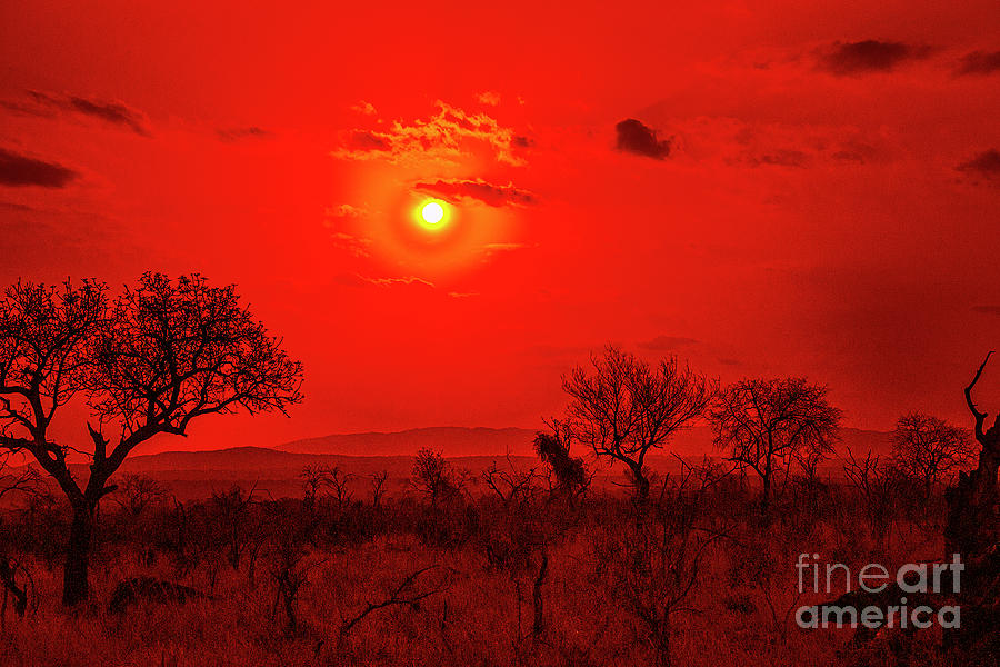 Red Sunset #2 Photograph by Rick Bragan