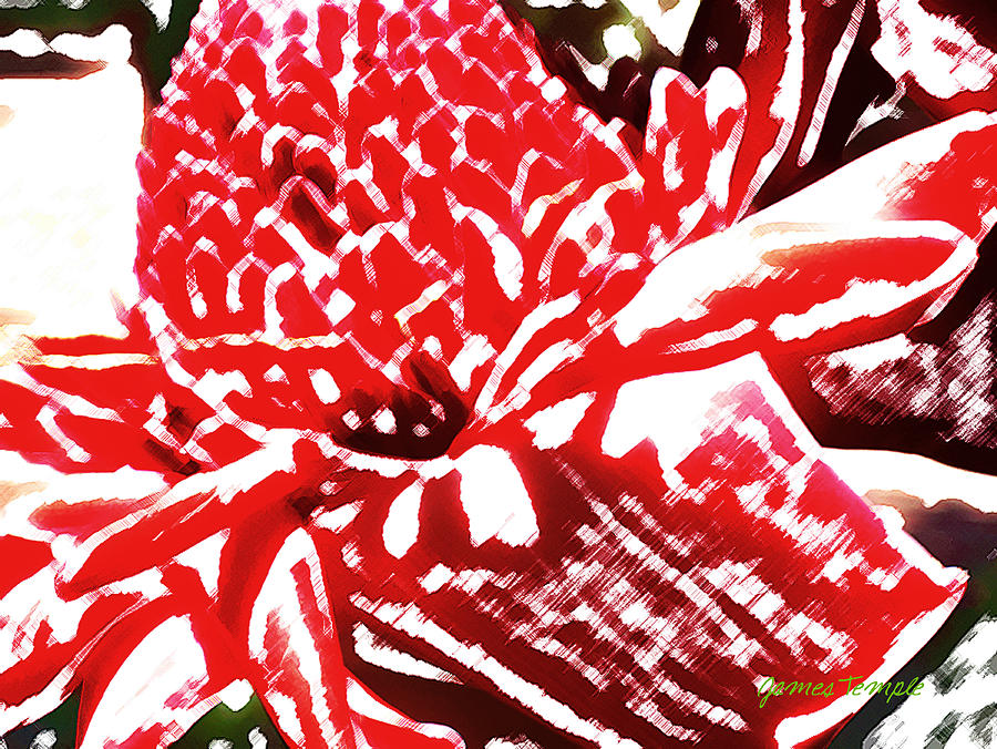 Red Torch Ginger #1 Digital Art by James Temple