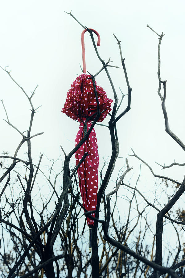Tree Photograph - Red Umbrella #2 by Joana Kruse