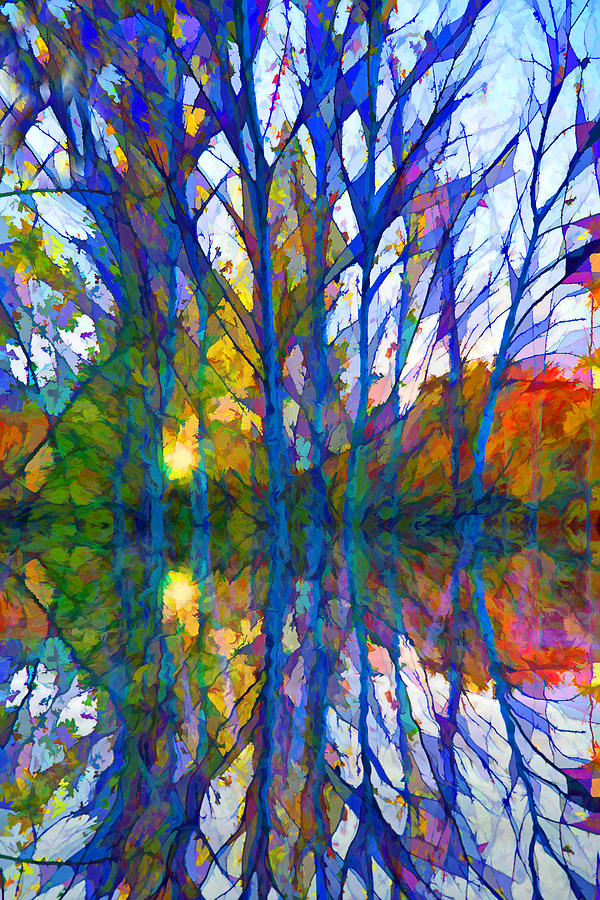 Reflections #2 Digital Art by Lilia S