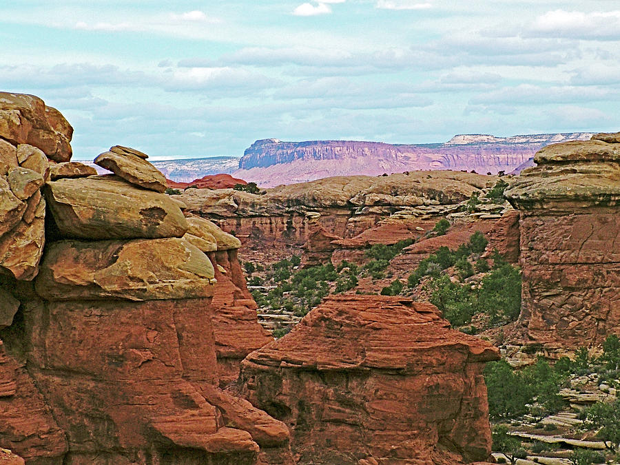 Return Trail to Elephant Hill  in Needles District in  Canyonlands National Park, Utah #2 Photograph by Ruth Hager