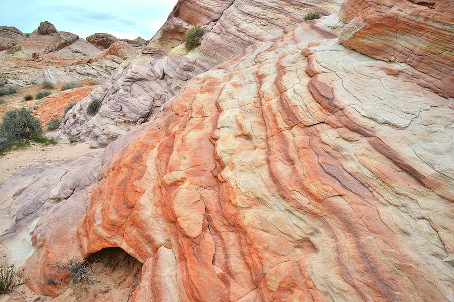 Ripples of Color in Valley of Fire #3 Photograph by Ray Mathis