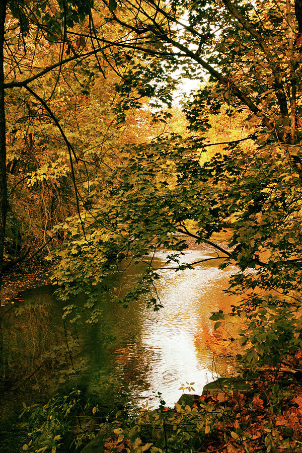 River Reflections Photograph by Jessica Jenney