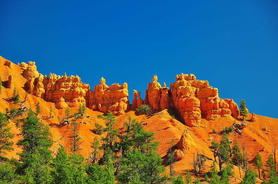 Nature Photograph - Rock formations in red canyon park in Utah. #2 by Jay Mudaliar