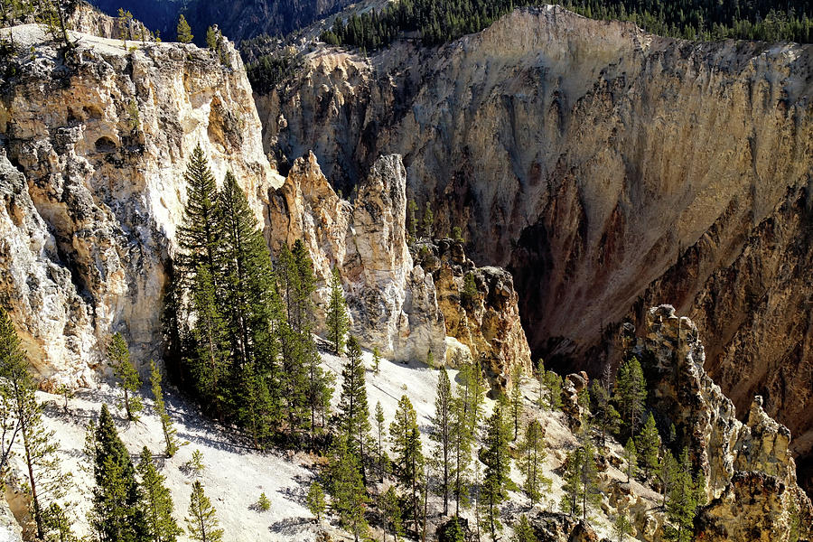 Rock Formations of Yellowstone Canyon #2 Photograph by Shirley Mitchell
