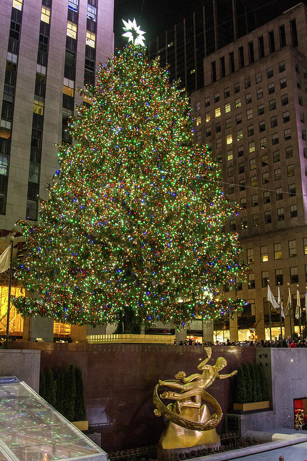 Rockefeller Center Christmas Tree #2 Photograph by Robert J Caputo ...