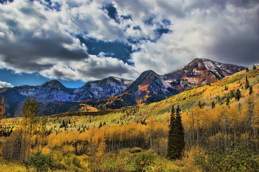 Rocky Mountain Fall #2 Photograph by Mark Smith