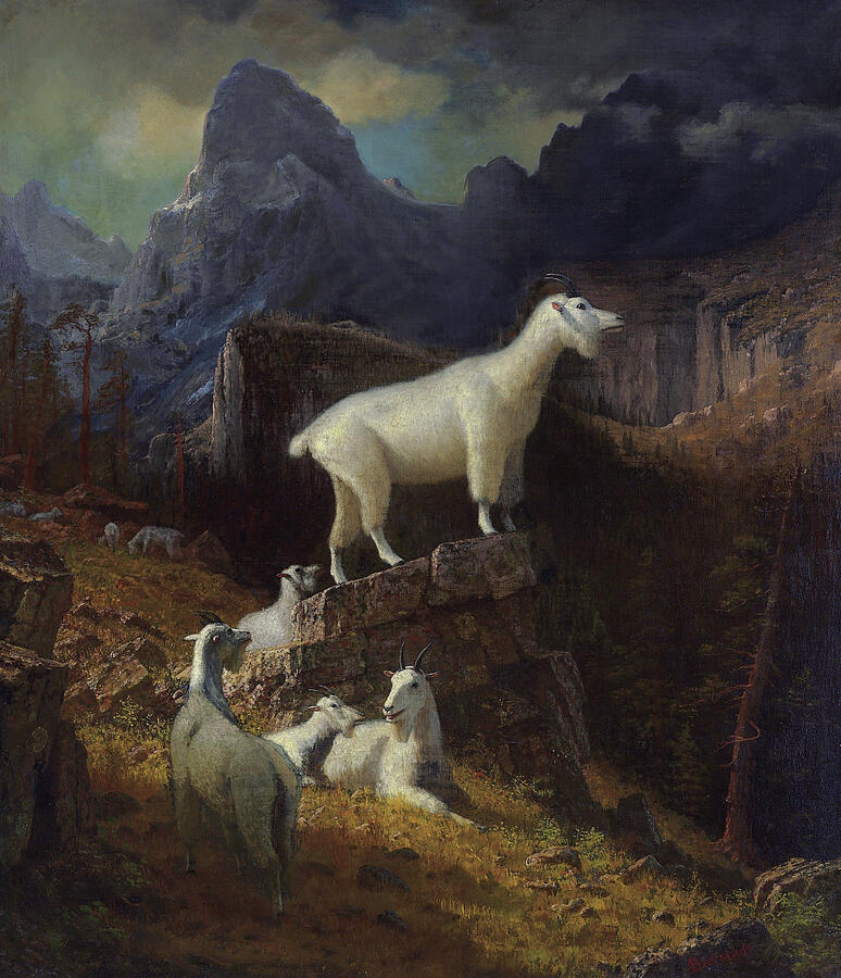 Albert Bierstadt  Painting - Rocky Mountain Goats #3 by Celestial Images
