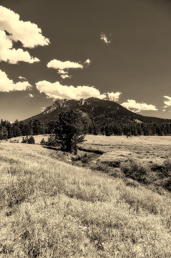 Rocky Mountain Meadow #2 Photograph by Mountain Dreams