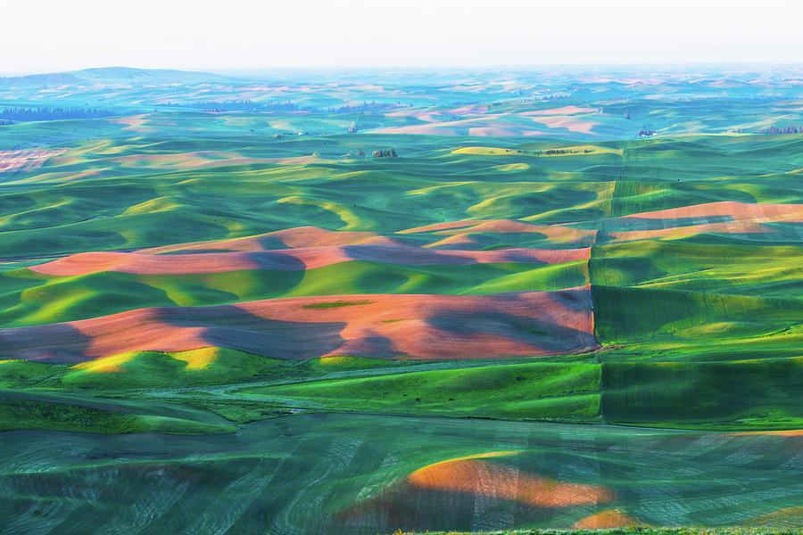 Rolling wheat field - Palouse #2 Photograph by Hisao Mogi