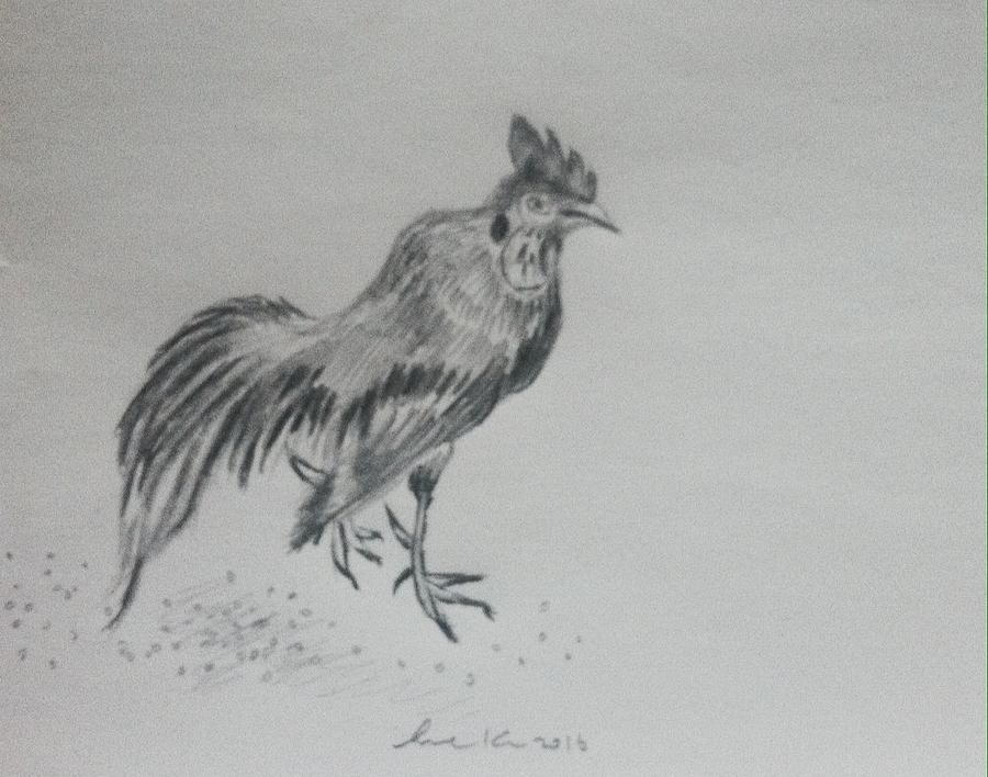 Rooster #2 Drawing by Hae Kim