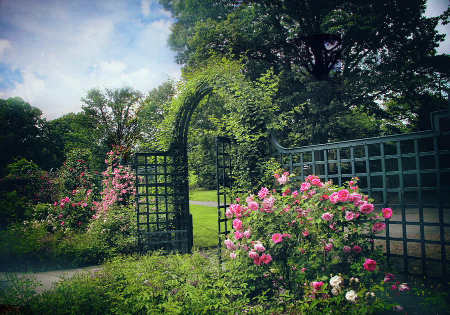 Rose Garden Gate #2 Photograph by Jessica Jenney