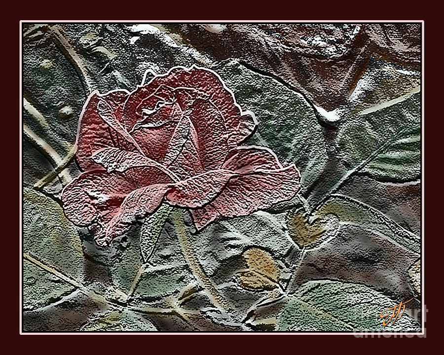 Nature Photograph - Rose by Art by Magdalene
