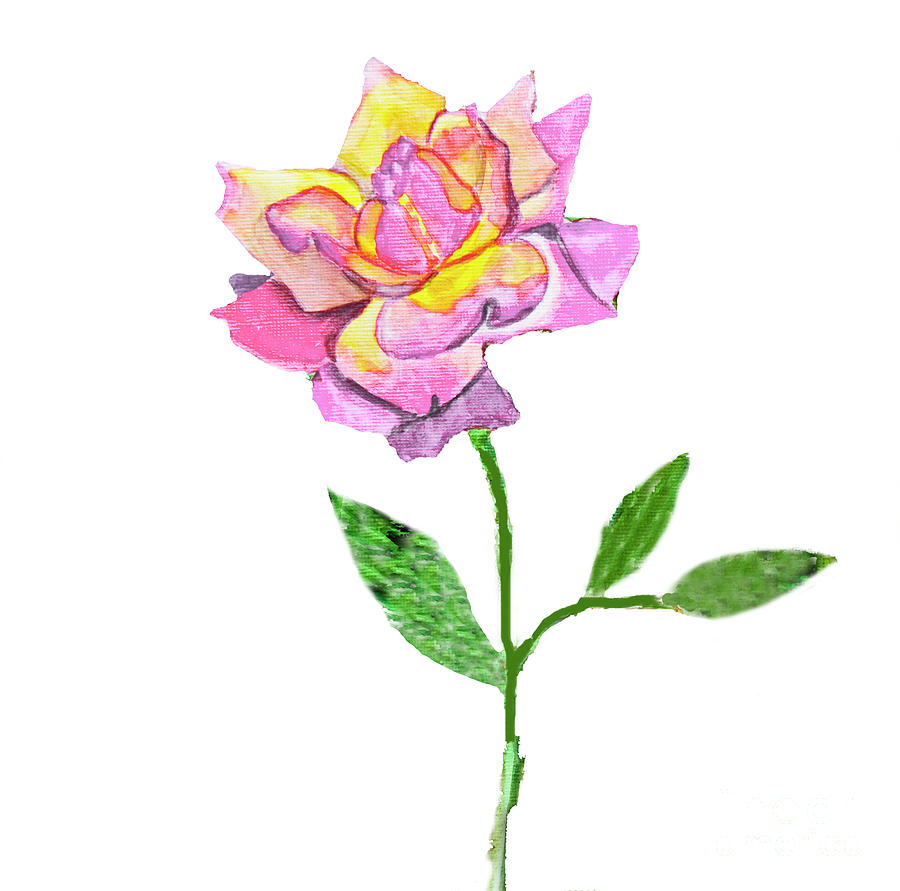 Rose, watercolor painting #1 Painting by Irina Afonskaya