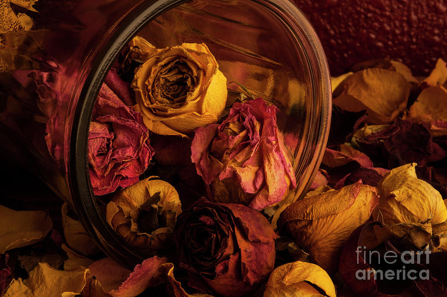 Flower Photograph - Roses Spilling out of Vase #2 by Jim Corwin